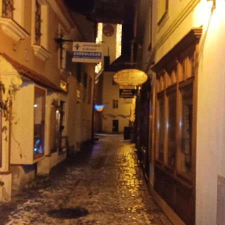 Apartman Pod Hradem Znojmo Exterior photo